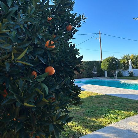 Апартаменты The Orange Garden Нафплион Экстерьер фото