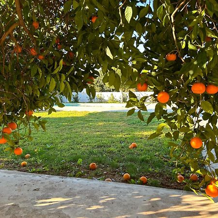 Апартаменты The Orange Garden Нафплион Экстерьер фото