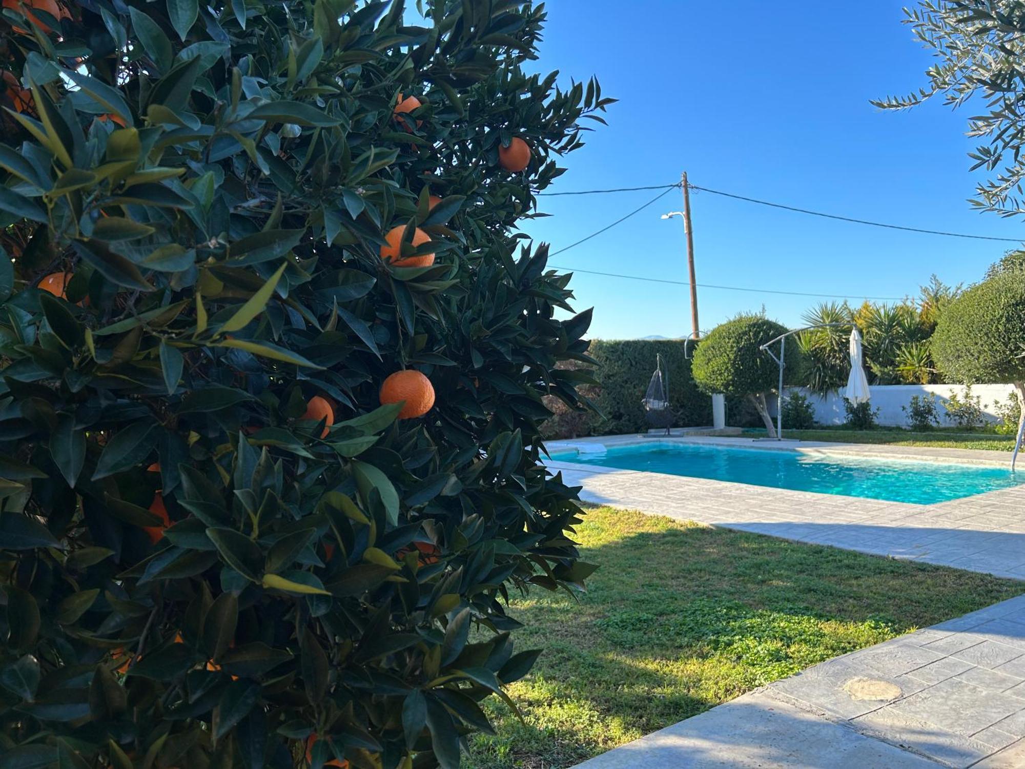 Апартаменты The Orange Garden Нафплион Экстерьер фото